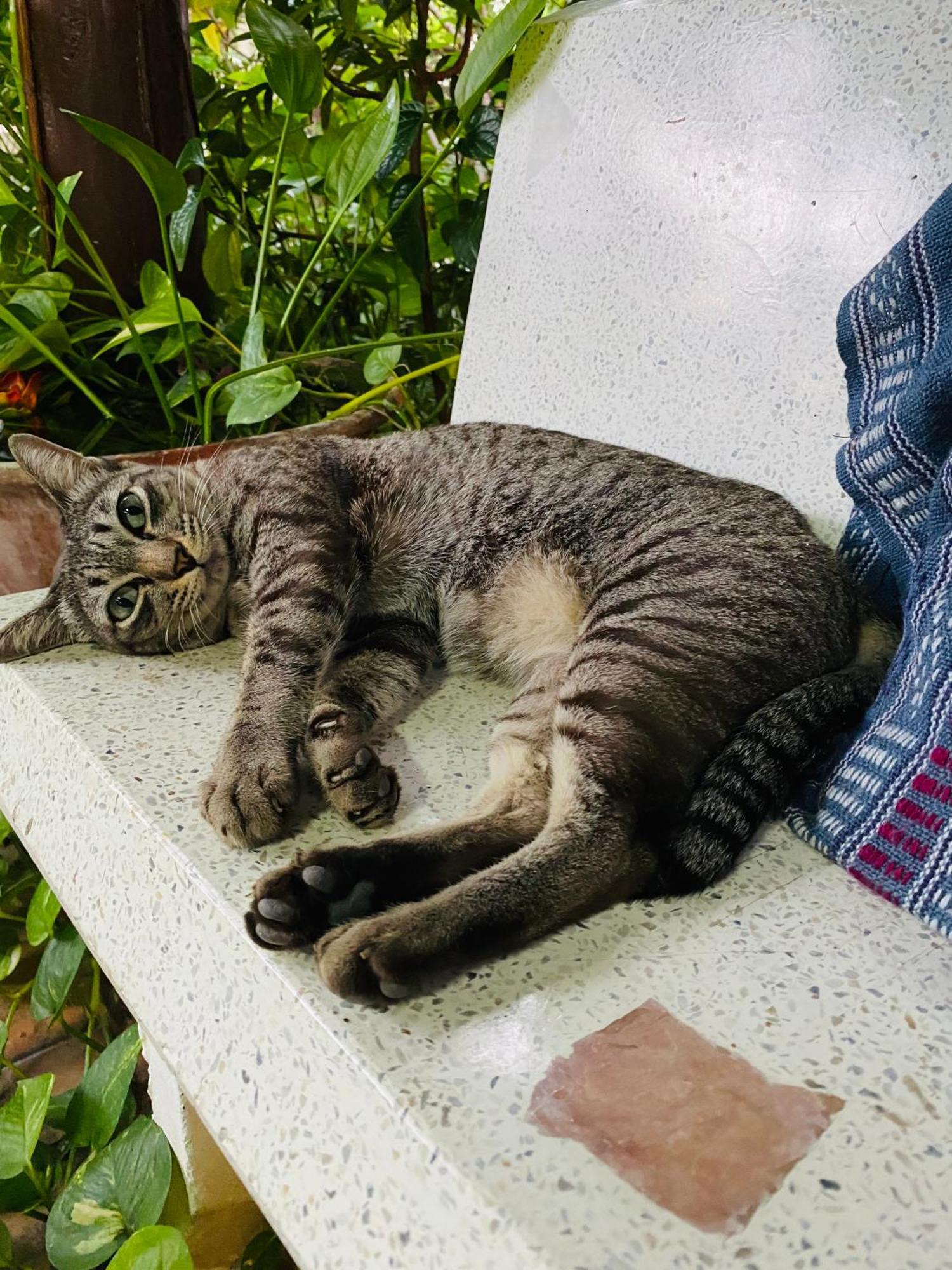 Banthai Guesthouse Phetchaburi Zewnętrze zdjęcie